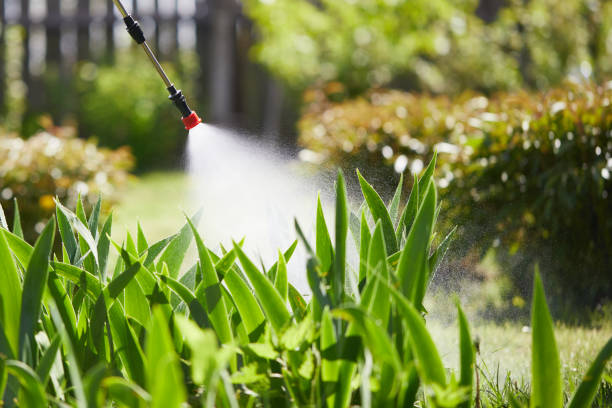 24/7 Emergency Mosquito Control experts in West Jordan, UT