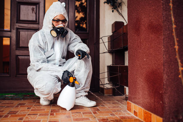 Reliable Mosquito Control contractor in West Jordan, UT by Show Me Pest Control