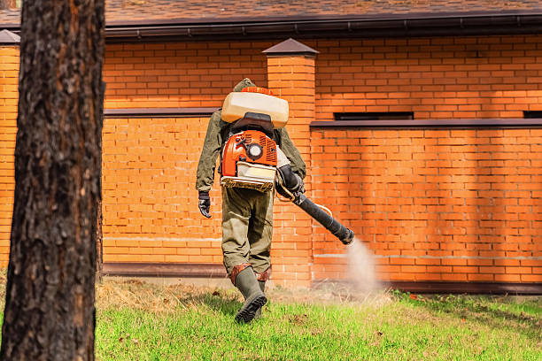 Top rated local Mosquito Control specialists in West Jordan, UT